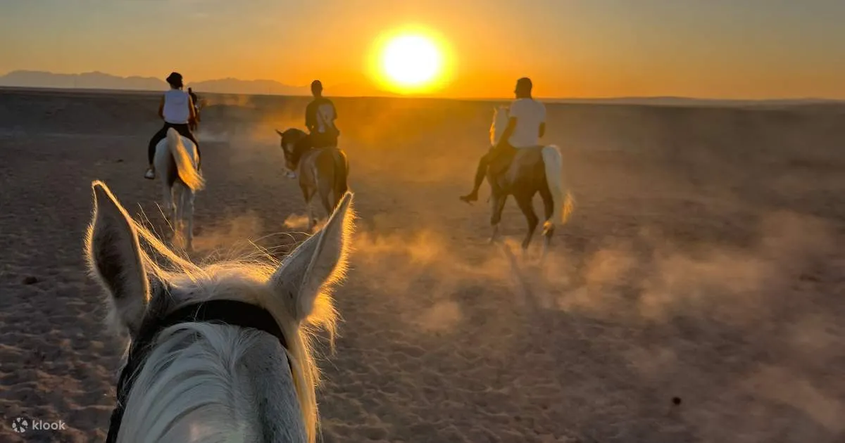 🏇 Horse Safari – Desert Ride in Hurghada